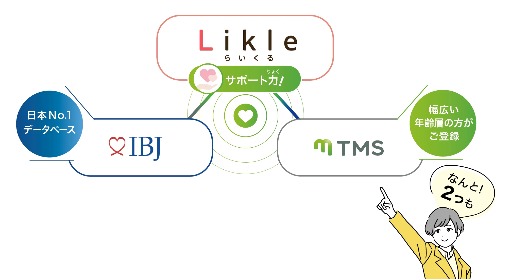 「SCブライダル」のサポート力、「IBJ」大手会員さんとコラボ、「TMS」幅広い年齢層の方がご登録。充実の会員数！
